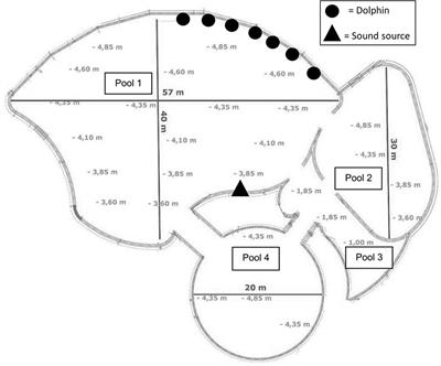 Captive Bottlenose Dolphins Do Discriminate Human-Made Sounds Both Underwater and in the Air